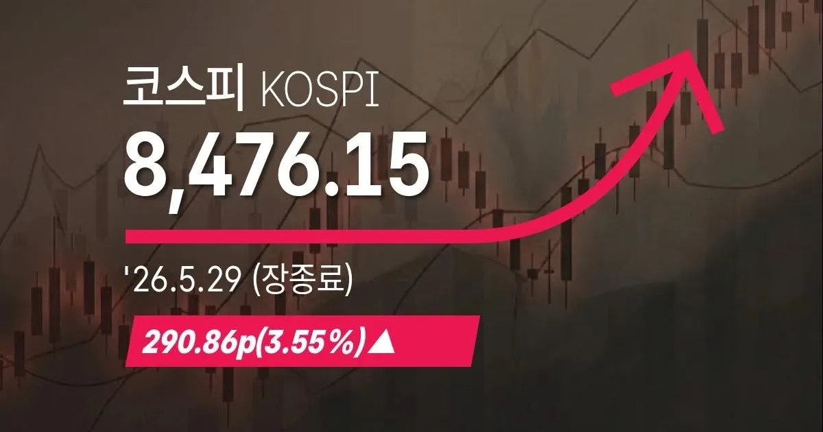 코스피는 신고가인데 왜 내 종목은 떨어질까 — 대형주만 오르는 양극화 장세 완전 정리
